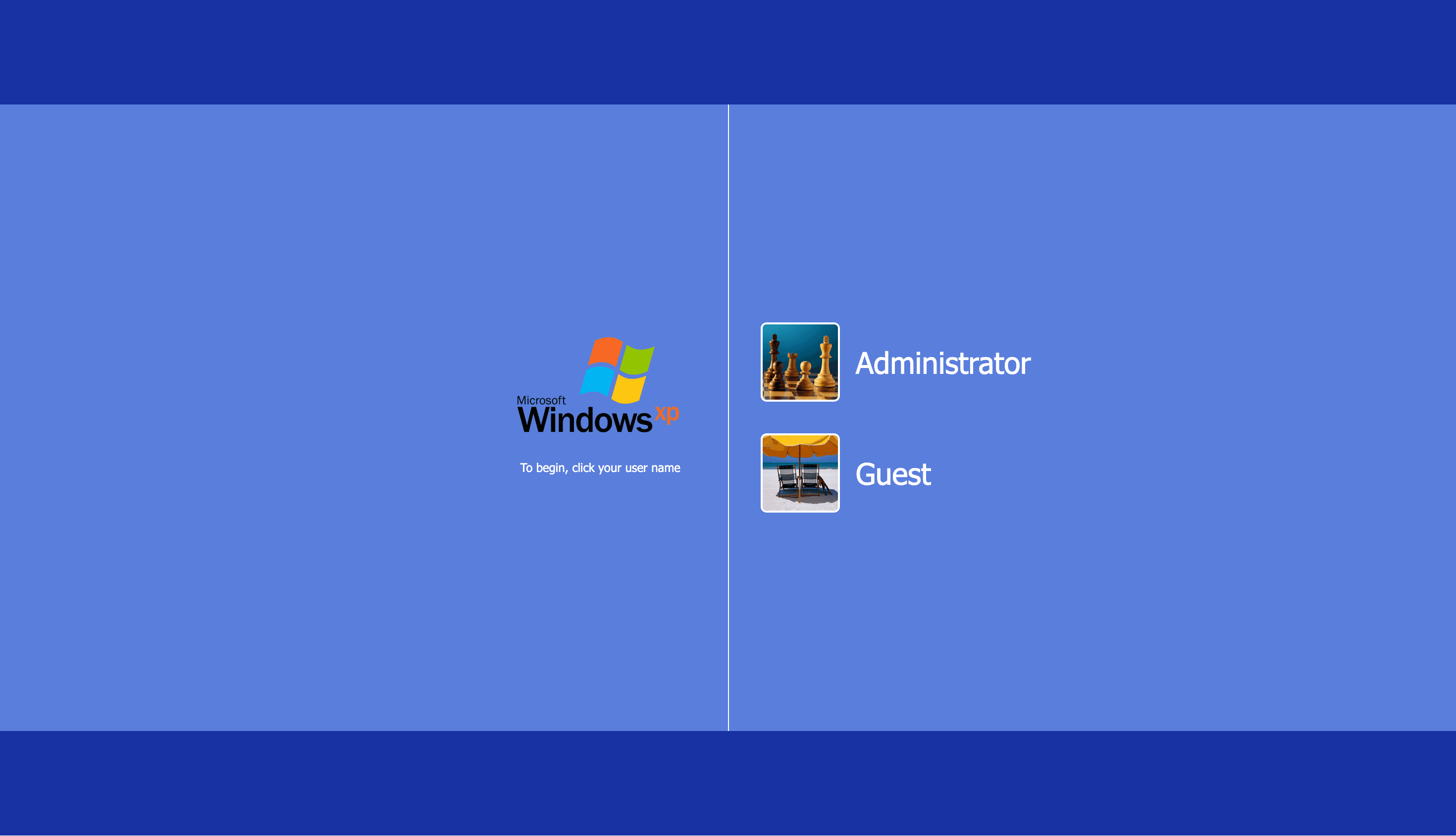 Project screenshot 1